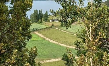 Agrícola en Venta en Lago Ranco