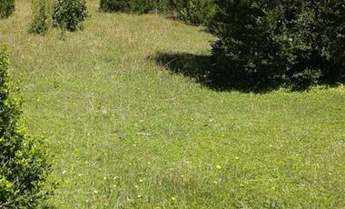 Agrícola en Venta en Lago Ranco