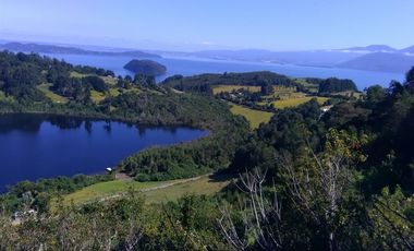 Agrícola en Venta en Lago Ranco