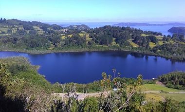 Agrícola en Venta en Lago Ranco