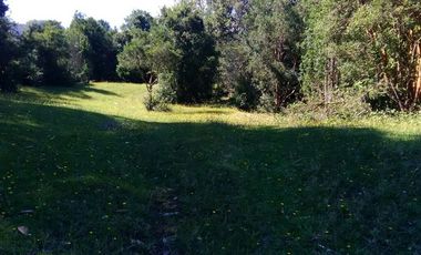 Agrícola en Venta en Lago Ranco