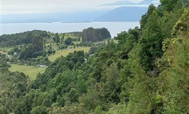 Agrícola en Venta en Lago Ranco