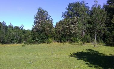 Agrícola en Venta en Lago Ranco