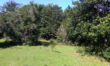 Agrícola en Venta en Lago Ranco