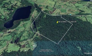 Agrícola en Venta en Lago Ranco
