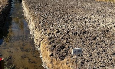 Parcela en Venta en L-55