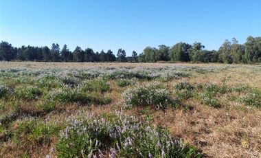 Parcela en Venta en L-55