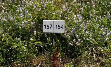 Parcela en Venta en L-55