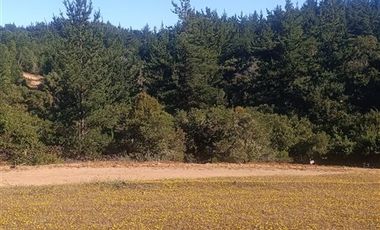 Parcela en Venta en L-55