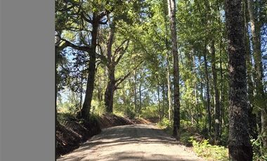 Parcela en Venta en Praderas de Villarrica