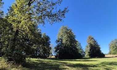 Parcela en Venta en Praderas de Villarrica