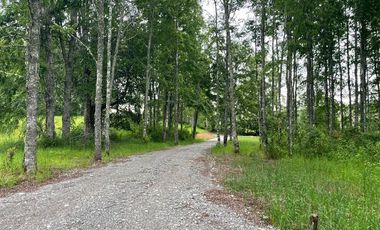 Parcela en Venta en Opciones entre Villarrica, Loncoche y Gorbea
