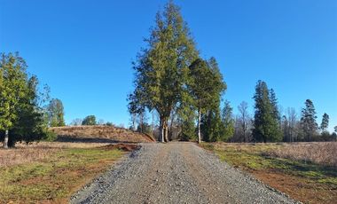 Parcela en Venta en Entre Villarrica y la Ruta 5 sur