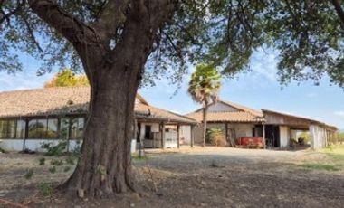 Agrícola en Venta en sector El Durazno, Estación Villa Alegre, comuna de Villa Alegre
