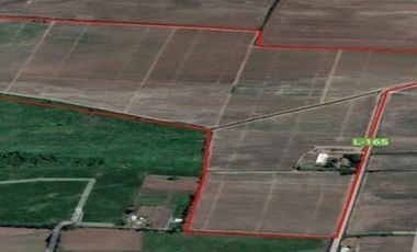 Agrícola en Venta en sector El Durazno, Estación Villa Alegre, comuna de Villa Alegre