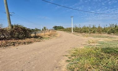 Agrícola en Venta en sector El Durazno, Estación Villa Alegre, comuna de Villa Alegre