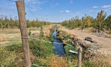 Agrícola en Venta en sector El Durazno, Estación Villa Alegre, comuna de Villa Alegre