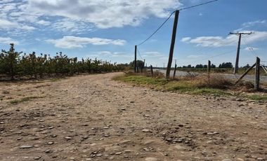 Agrícola en Venta en sector El Durazno, Estación Villa Alegre, comuna de Villa Alegre
