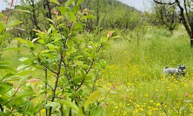 Parcela en Venta en H20 La Estrella