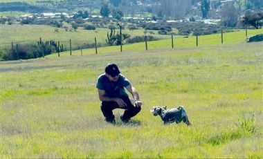 Parcela en Venta en H20 La Estrella