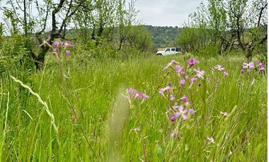 Parcela en Venta en H20 La Estrella