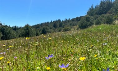 Parcela en Venta en H20 La Estrella