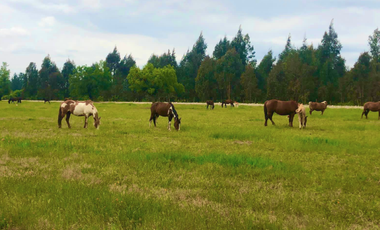 Parcela en Venta en LA AMALIA LONGAVÍ