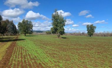 Parcela en Venta en LA AMALIA LONGAVÍ