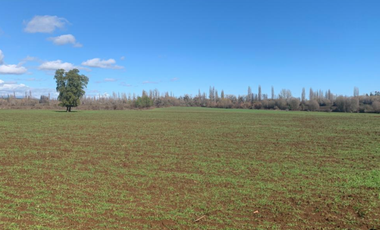 Parcela en Venta en LA AMALIA LONGAVÍ