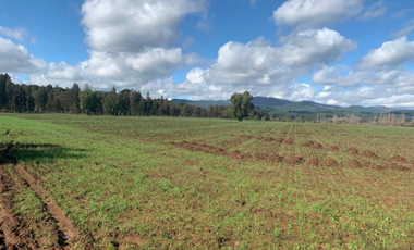 Parcela en Venta en LA AMALIA LONGAVÍ