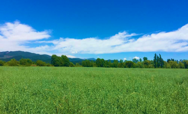 Parcela en Venta en LA AMALIA LONGAVÍ