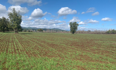 Parcela en Venta en LA AMALIA LONGAVÍ