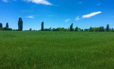 Parcela en Venta en LA AMALIA LONGAVÍ