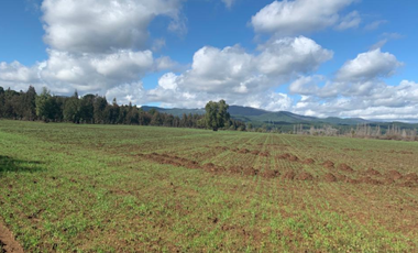 Parcela en Venta en LA AMALIA LONGAVÍ