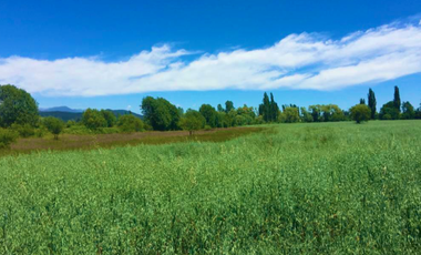 Parcela en Venta en LA AMALIA LONGAVÍ