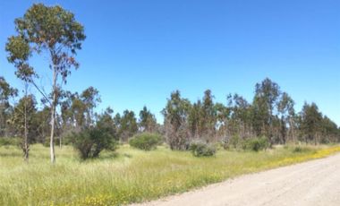 Parcela en Venta en n-60-o