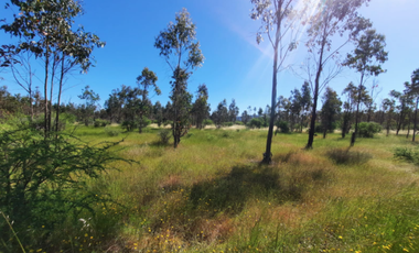 Parcela en Venta en n-60-o