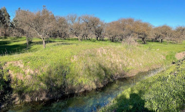 Parcela en Venta en n-60-o