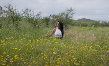 Parcela en Venta en MARCHIGUE