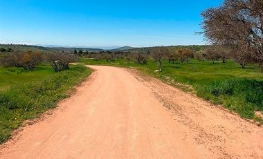 Parcela en Venta en MARCHIGUE