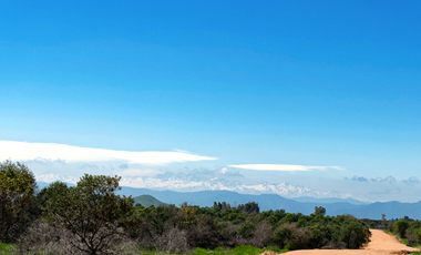 Parcela en Venta en MARCHIGUE