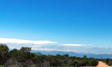 Parcela en Venta en MARCHIGUE