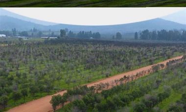 Parcela en Venta en MARCHIGUE