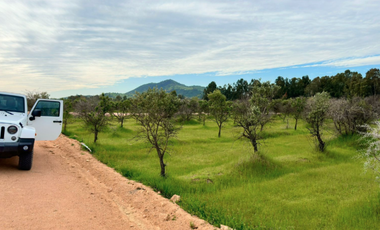 Parcela en Venta en MARCHIGUE