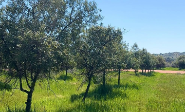 Parcela en Venta en MARCHIGUE