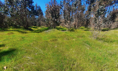 Parcela en Venta en n-60-o