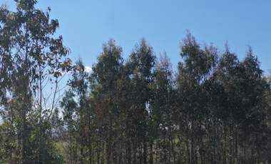 Parcela en Venta en n-60-o