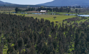 Parcela en Venta en n-60-o