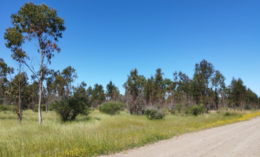 Parcela en Venta en n-60-o