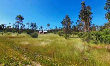 Parcela en Venta en n-60-o